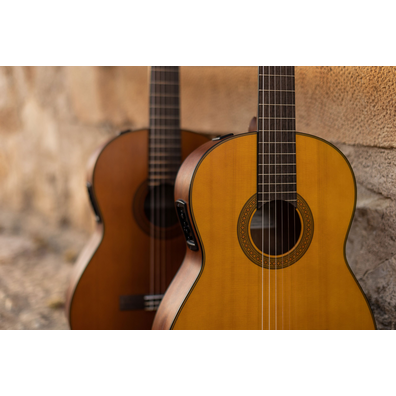 Body of CGX122MC in front of CGX122MS acoustic-electric guitar leaning on stone wall 