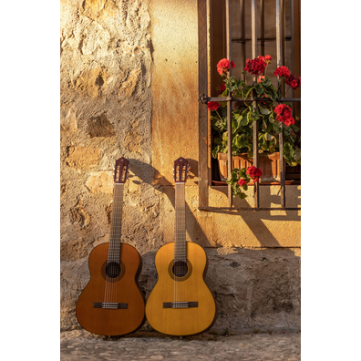 CGX122MC and CGX122MS guitar side by side leaning on a rejas with potted flowers