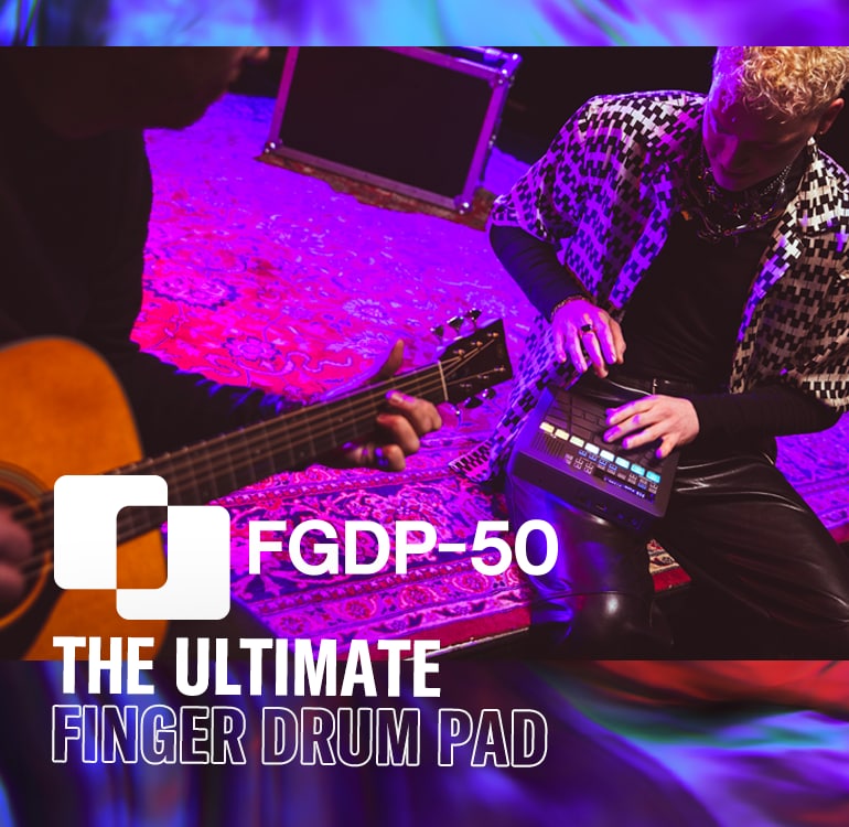 FGDP-50 player and guitarist in session on stage