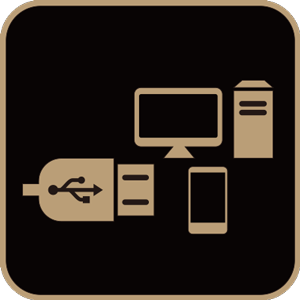 Integrated Audio Interface