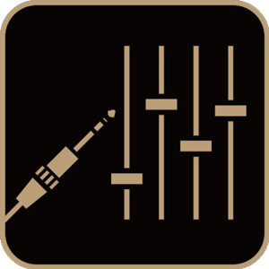 Line Outputs (THR30II Wireless Only)