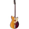 RSP02T Sunset Burst Angle