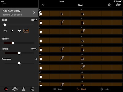 Play along with your favorite songs by following the chords