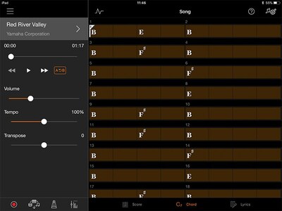 Play along with your favorite songs by following the chords