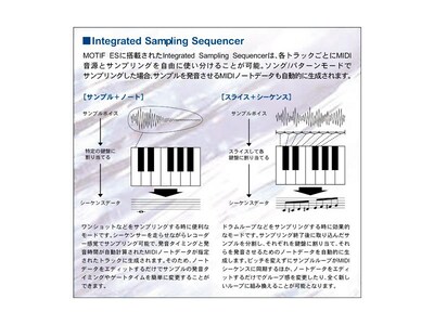 Image of MOTIF catalog