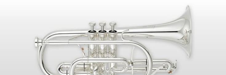 Close-up of cornet
