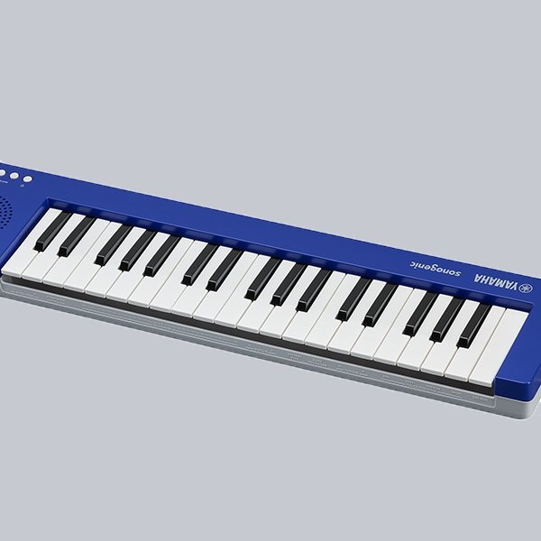 Pro-quality mini-keyboard