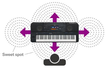 Yamaha Keyboard PSR PSR-SX900 PSR-SX700