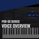 Yamaha Keyboard PSR PSR-SX900 PSR-SX700