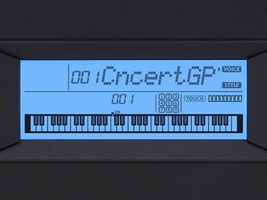 Backlit LCD display