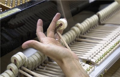 Filing away the soft outer layer with sandpaper