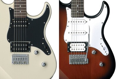 Alnico Pickups (PAC112V/PAC120H)