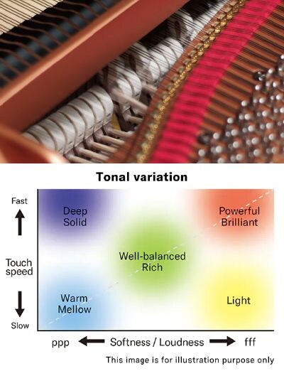 GRAND EXPRESSION MODELING