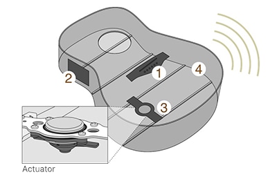 TransAcoustic